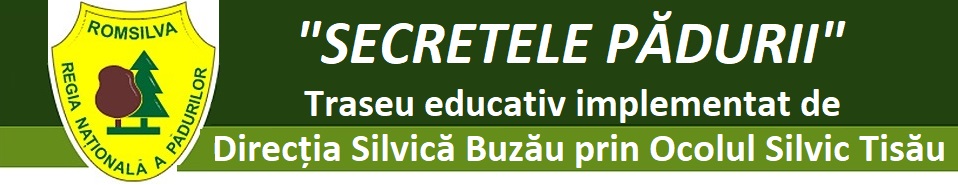 Secretepe pădurii - Haleș